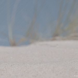 Foto Menina de Areia