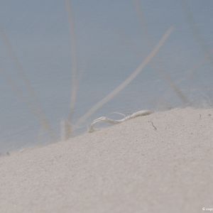 Foto Menina de Areia