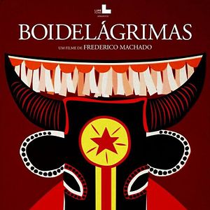 Foto Boi de Lágrimas