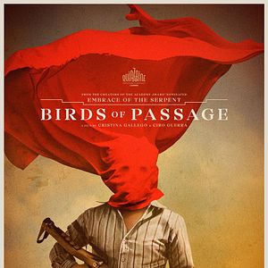 Foto Pássaros de Verão