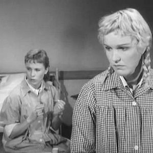 Foto No Limiar da Vida