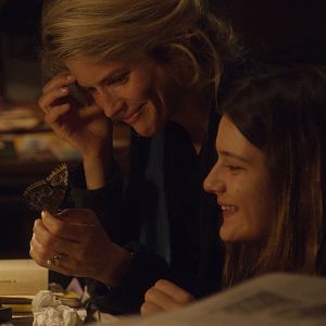 Foto A Última Loucura de Claire Darling