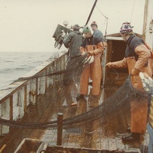Foto Fårö-dokument 1979