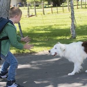 Foto Uma Aventura e Tanto