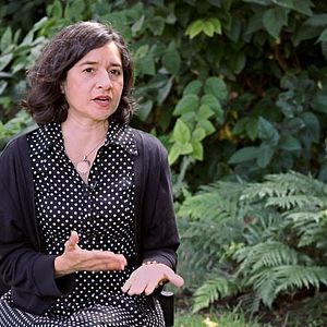 Foto Kangaroo – A Love-Hate Story