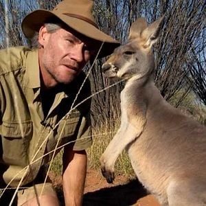Foto Kangaroo – A Love-Hate Story