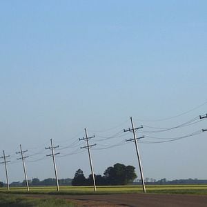 Foto Lindy Lou, Jurada Número 2