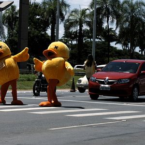 Foto Excelentíssimos