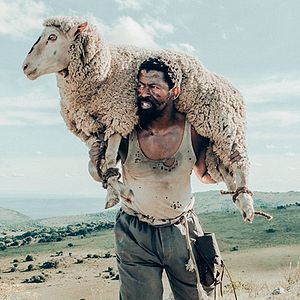 Foto Sew the Winter to My Skin