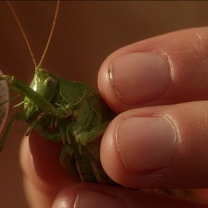 Foto O Nome do Meu Irmão É Robert e Ele É um Idiota