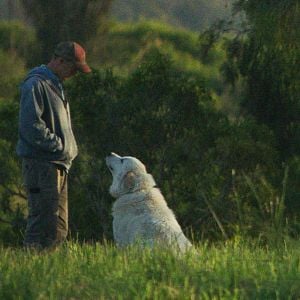 Foto A Pequena Grande Fazenda