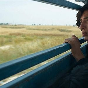 Foto O Pombo - Um Refúgio para Sobreviver