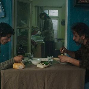 Foto O Pombo - Um Refúgio para Sobreviver