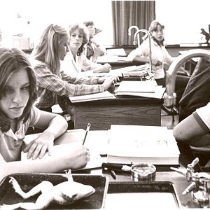 Foto Baile de Formatura