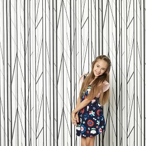 Foto American Housewife (2016)