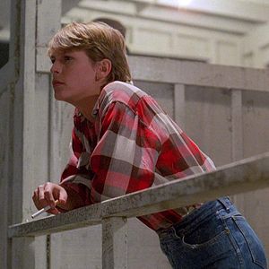 Foto A Volta por Cima