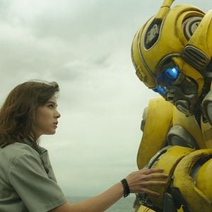 Foto Bumblebee
