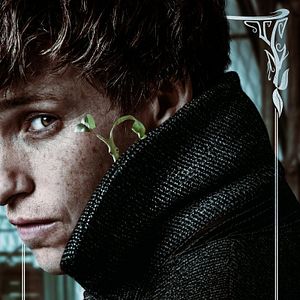 Foto Animais Fantásticos: Os Crimes de Grindelwald