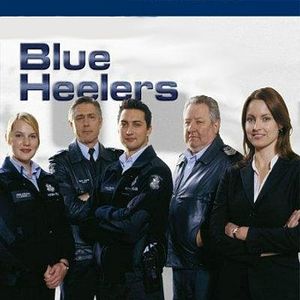 Foto Blue Heelers