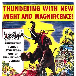 Foto Náufragos da Vida