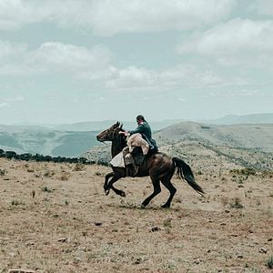 Foto Sew the Winter to My Skin