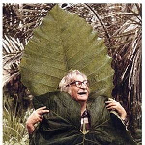 Foto Filme Paisagem - Um Olhar Sobre Roberto Burle Marx