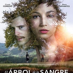 Foto Árvore de Sangue