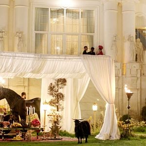 Foto Pig - Uma Comédia Matadora