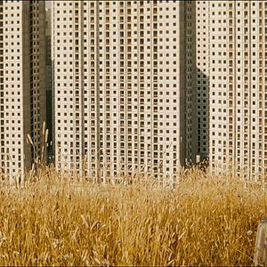 Foto Deniz Celiloğlu