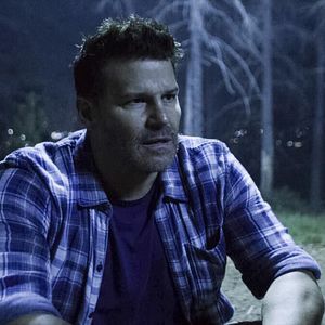 Foto David Boreanaz