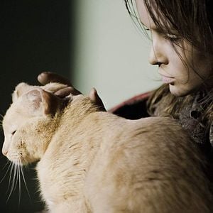 Foto A Guerra de Anna