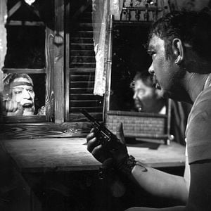 Foto Noites de Circo