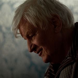 Foto O Pequeno Órfão