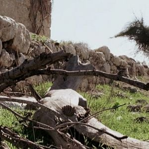 Foto Uma Carta para um Amigo em Gaza