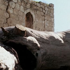 Foto Uma Carta para um Amigo em Gaza