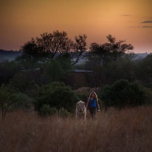 Foto A Menina e o Leão