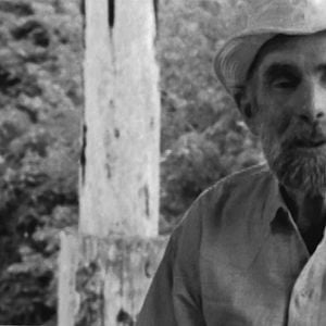 Foto Frans Krajcberg: Manifesto