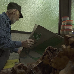 Foto Frans Krajcberg: Manifesto