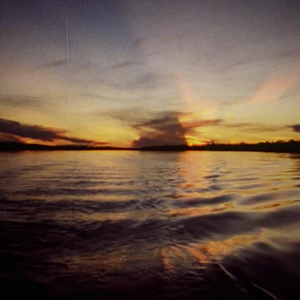 Foto Frans Krajcberg: Manifesto