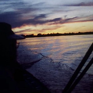 Foto Frans Krajcberg: Manifesto