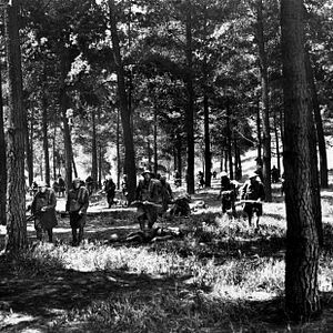 Foto O Grande Desfile