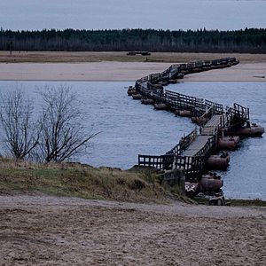 Foto Almas Silenciosas