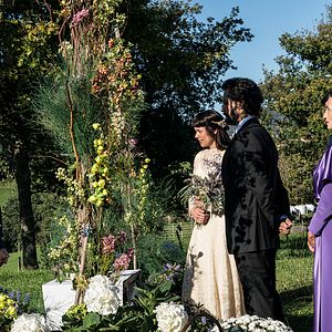 Foto Árvore de Sangue