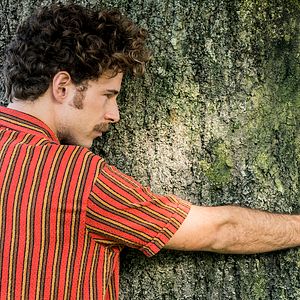 Foto Árvore de Sangue