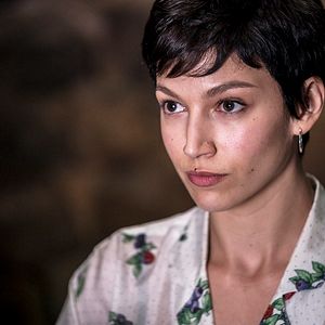 Foto Árvore de Sangue