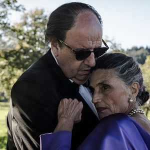 Foto Árvore de Sangue