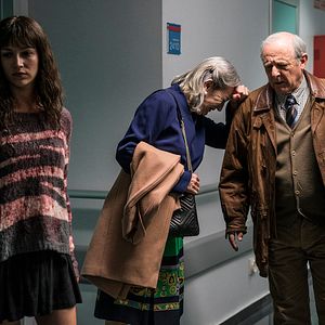 Foto Árvore de Sangue