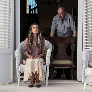 Foto Árvore de Sangue