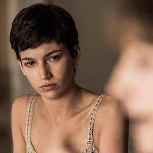 Foto Árvore de Sangue