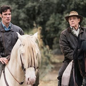 Foto Árvore de Sangue